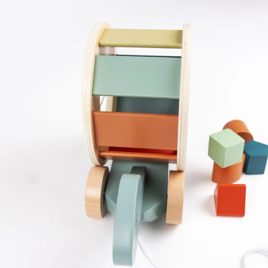 Egmont Toys - Tartaruga da trainare