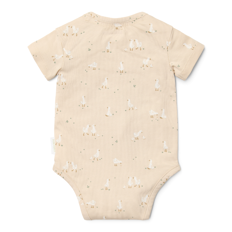Little Dutch - Body a maniche corte - Goose