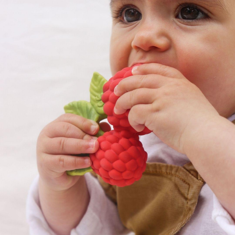 Oli&Carol - Massaggiagengive - Valery the Raspberry - Lampone
