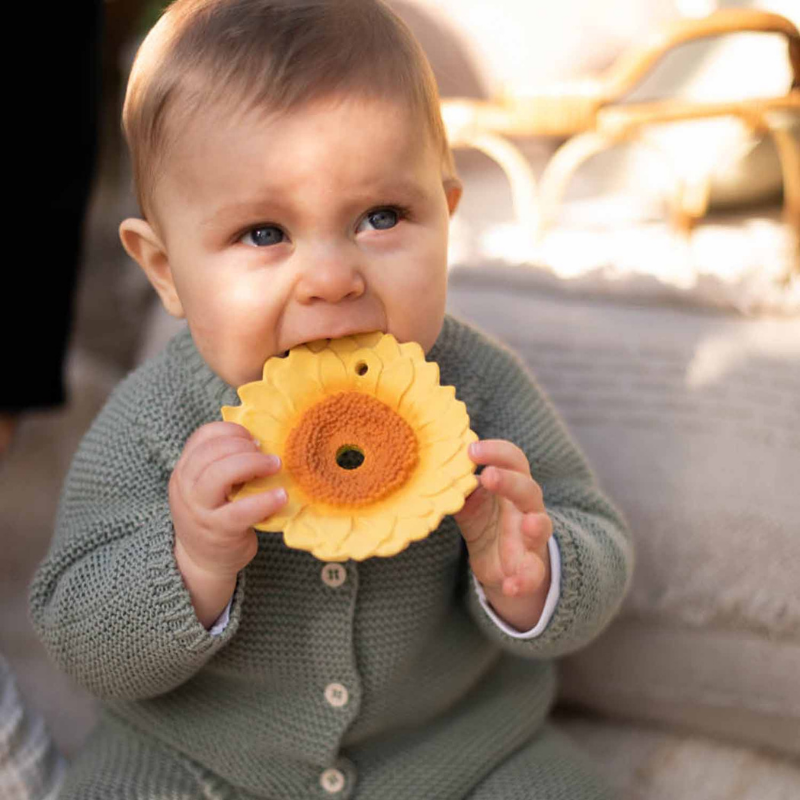 Oli&Carol - Massaggiagengive - Sun the Sunflower - Girasole