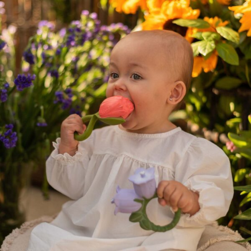 Oli&Carol - Massaggiagengive - Theo the Tulip - Tulipano