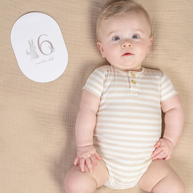 Little Dutch - Milestone Baby Cards - Carte foto ricordi - Baby Bunny