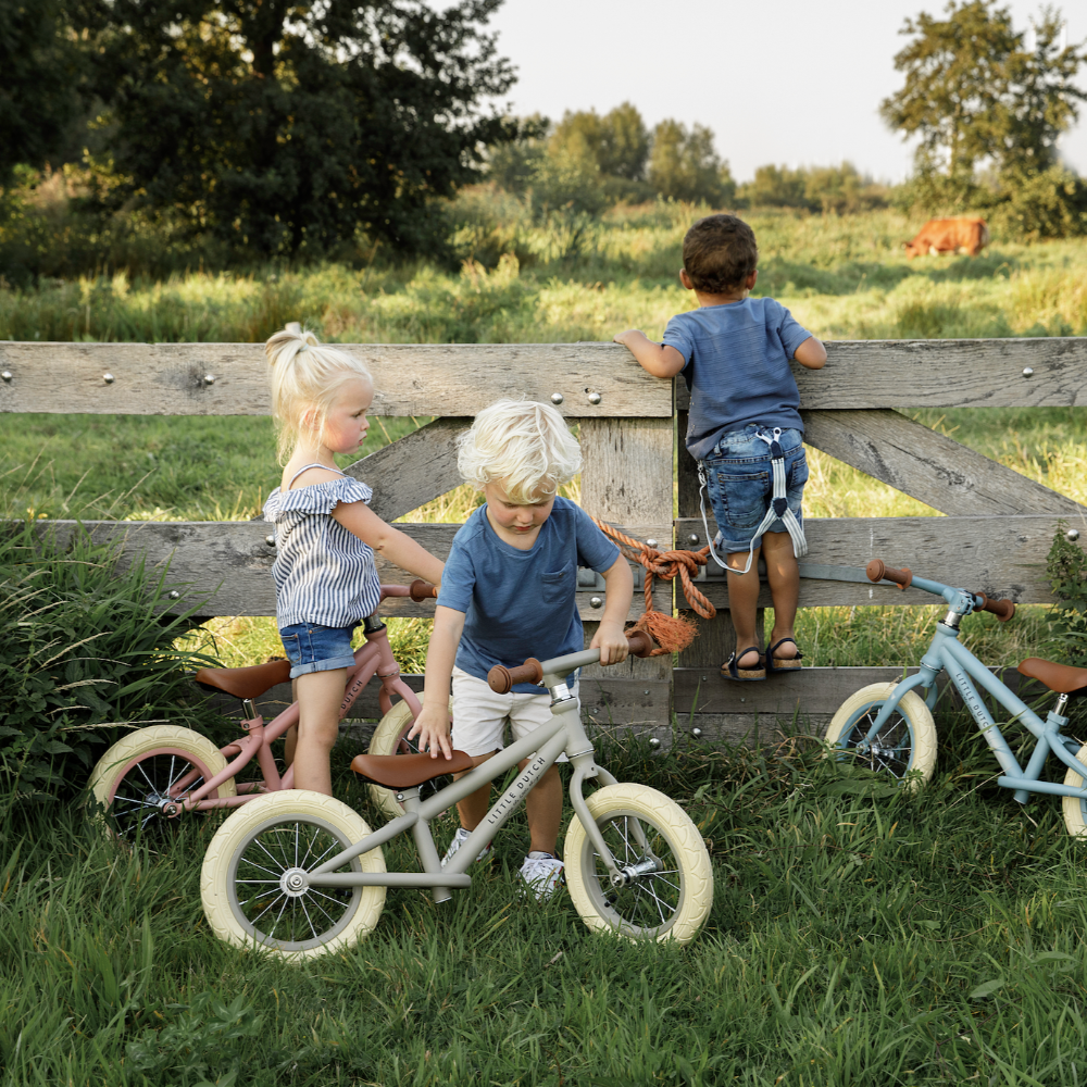 Little Dutch - Balance Bike - Bicicletta senza pedali - Blu