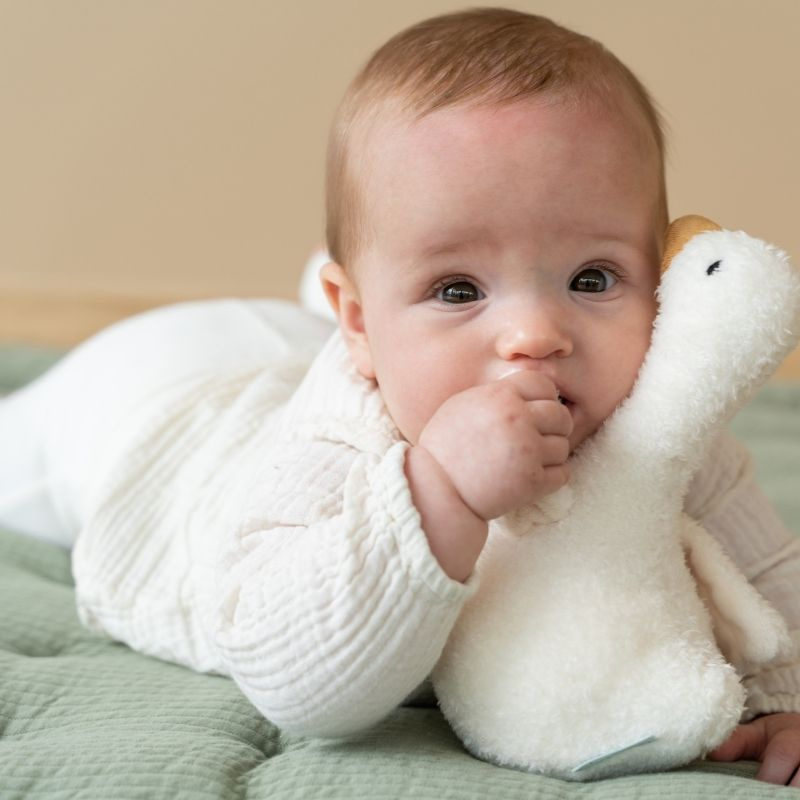 Little Dutch - Sonaglio a dondolo tumbler - oca - Goose