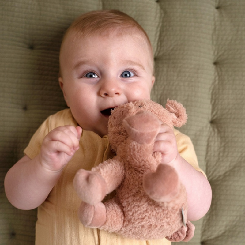 Little Dutch - Morbido Peluche - Maialino - 17cm Little Farm