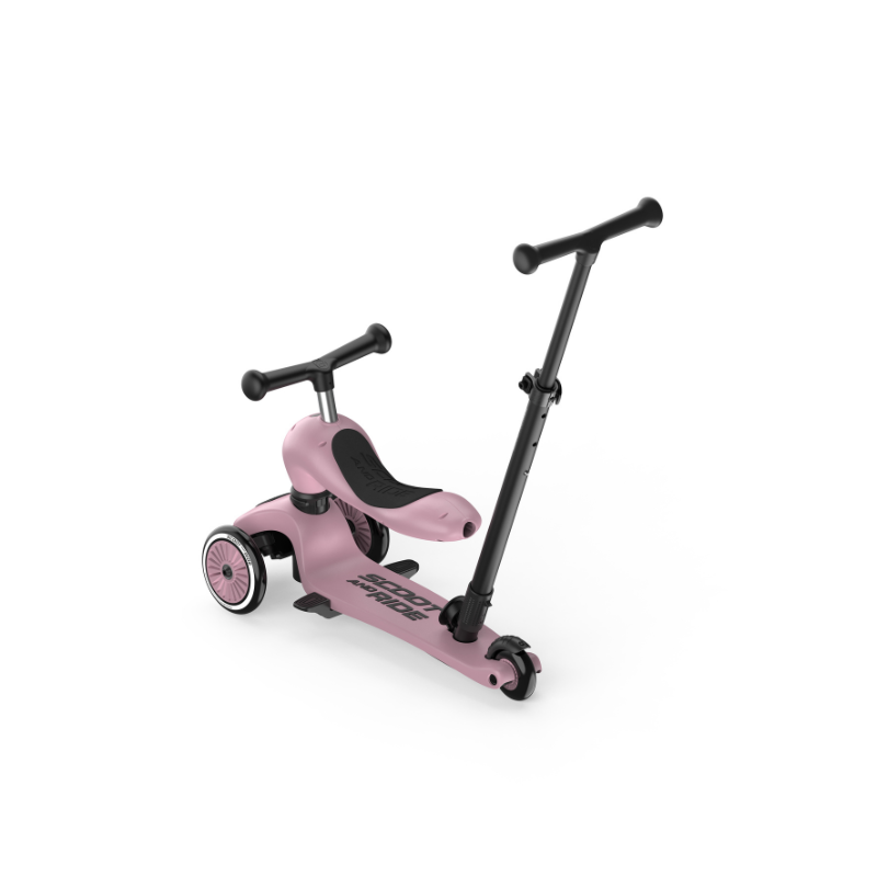 Scoot and Ride - Monopattino e Triciclo - Highwaykick push and go - Trasformabile 2 in 1 - Wildberry