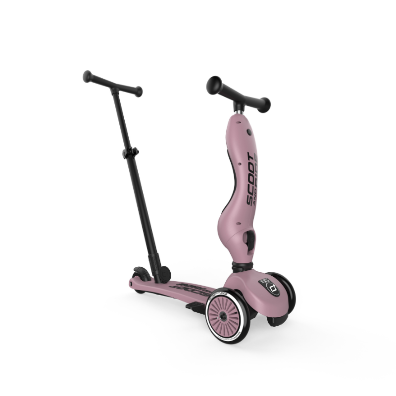 Scoot and Ride - Monopattino e Triciclo - Highwaykick push and go - Trasformabile 2 in 1 - Wildberry