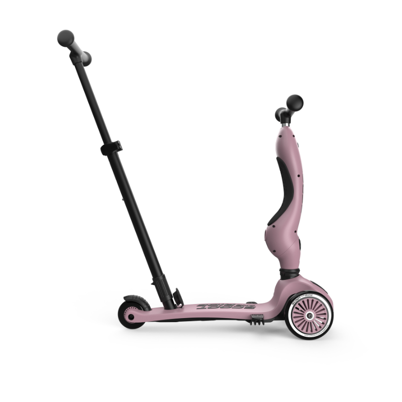 Scoot and Ride - Monopattino e Triciclo - Highwaykick push and go - Trasformabile 2 in 1 - Wildberry