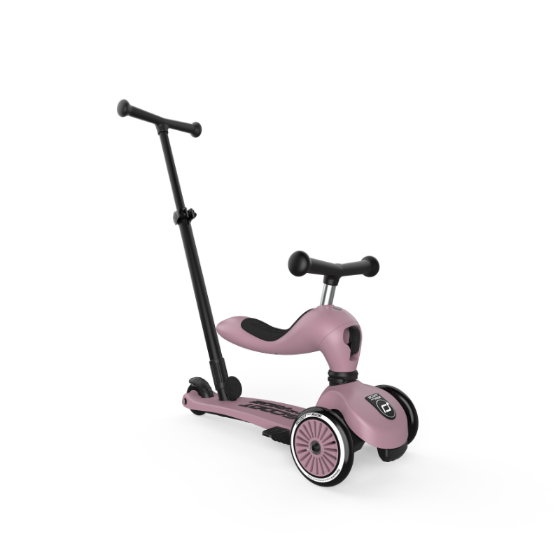 Scoot and Ride - Monopattino e Triciclo - Highwaykick push and go - Trasformabile 2 in 1 - Wildberry