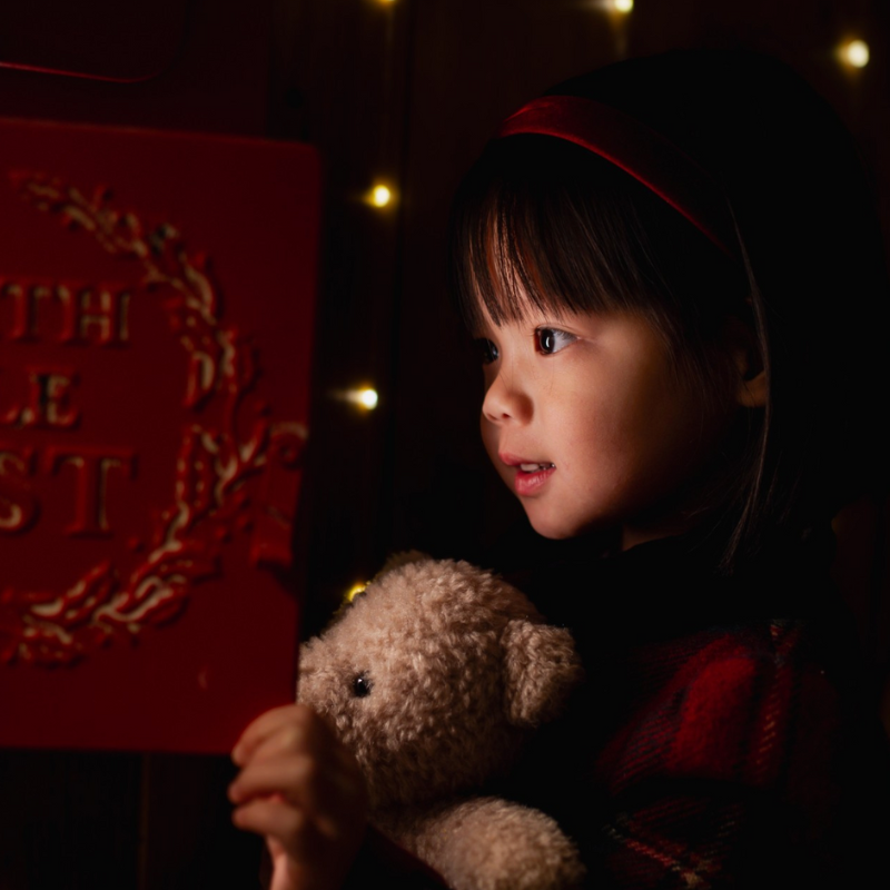 Sessione Fotografica Professionale Natale 2025