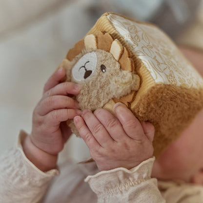 Cubi morbidi Little Dutch, idea regalo
