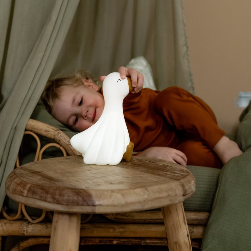 Luce da notte Little Dutch accesa