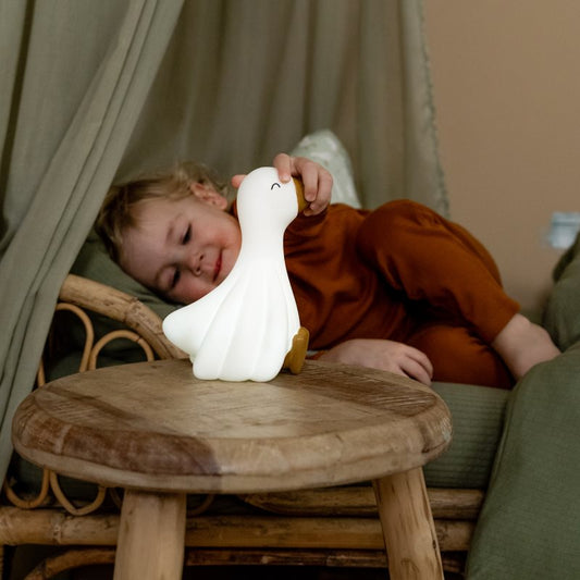 Luce da notte Little Dutch accesa