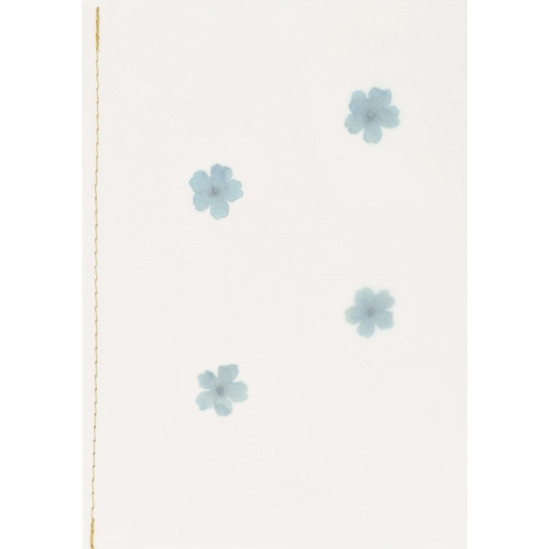 Räder - Biglietto di auguri - Fiore vero essiccato Azzurro - altra vista