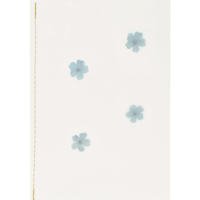 Räder - Biglietto di auguri - Fiore vero essiccato Azzurro