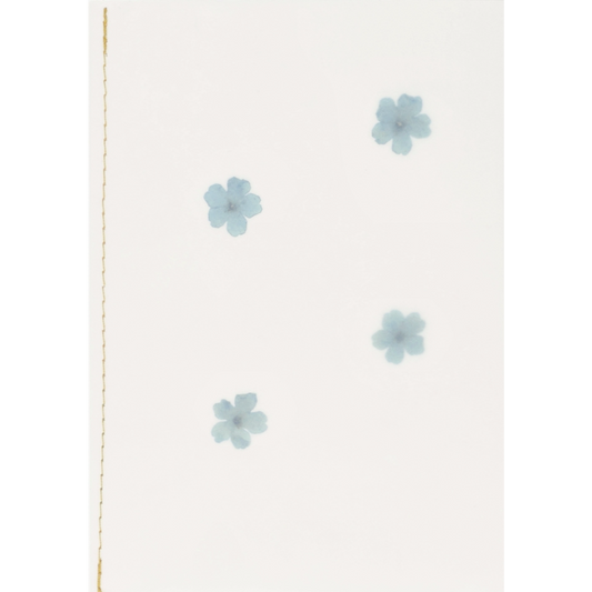 Räder - Biglietto di auguri - Fiore vero essiccato Azzurro