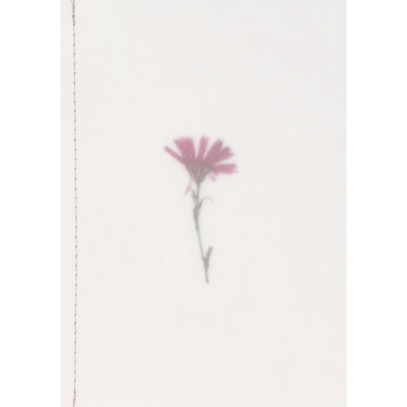 Räder - Biglietto di auguri - Fiore vero essiccato Rosa - altra vista