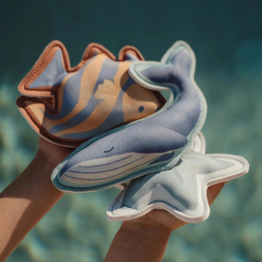 Little Dutch - Giochi acquatici - Ocean