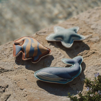 Little Dutch - Giochi acquatici - Ocean