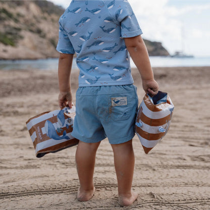 Little Dutch - Braccioli - Ocean