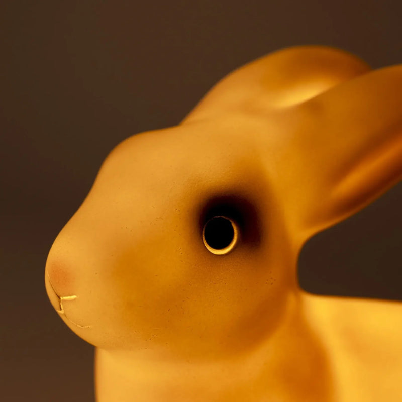 Egmont Toys - Lampada Coniglio