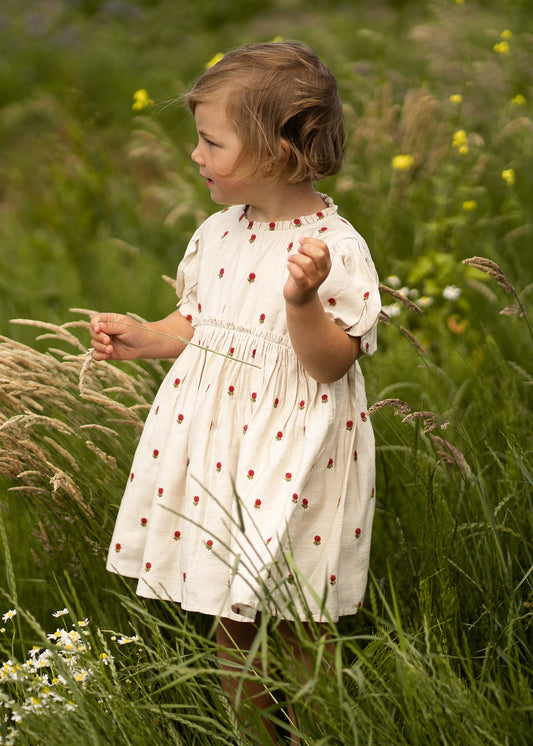 Donsje Amsterdam - Camilla Dress | Red Roses - Vestito