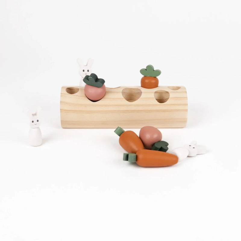 Egmont Toys - Gioco degli incastri - Coniglietto e verdure