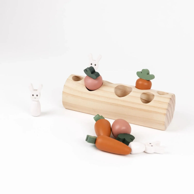 Egmont Toys - Gioco degli incastri - Coniglietto e verdure