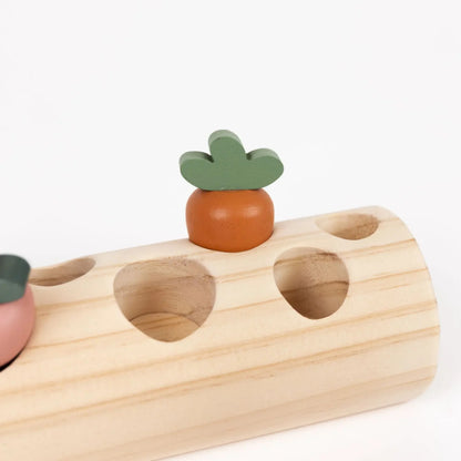 Egmont Toys - Gioco degli incastri - Coniglietto e verdure
