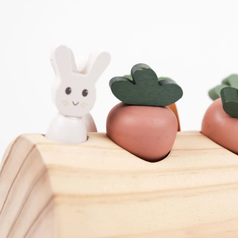 Egmont Toys - Gioco degli incastri - Coniglietto e verdure