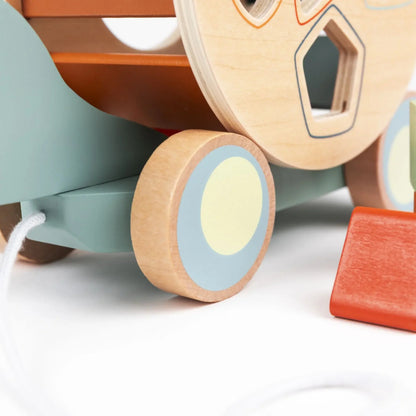 Egmont Toys - Tartaruga da trainare