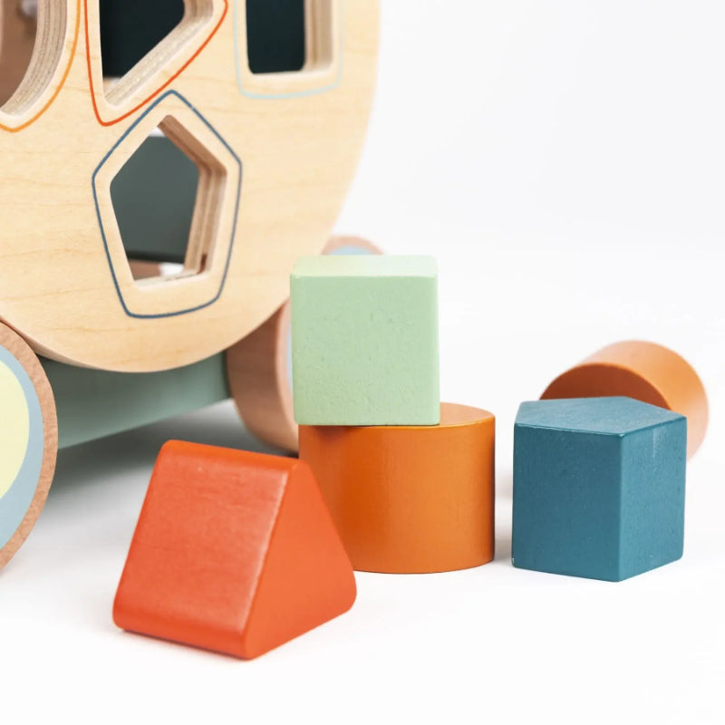 Egmont Toys - Tartaruga da trainare