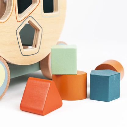 Egmont Toys - Tartaruga da trainare