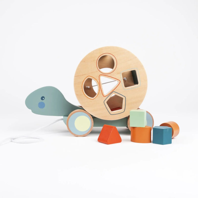 Egmont Toys - Tartaruga da trainare