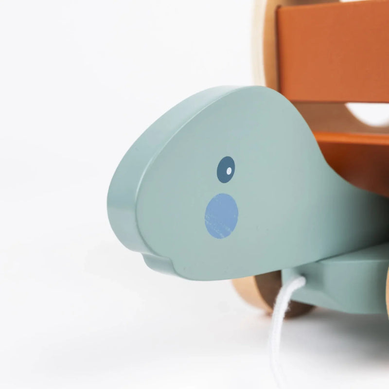 Egmont Toys - Tartaruga da trainare