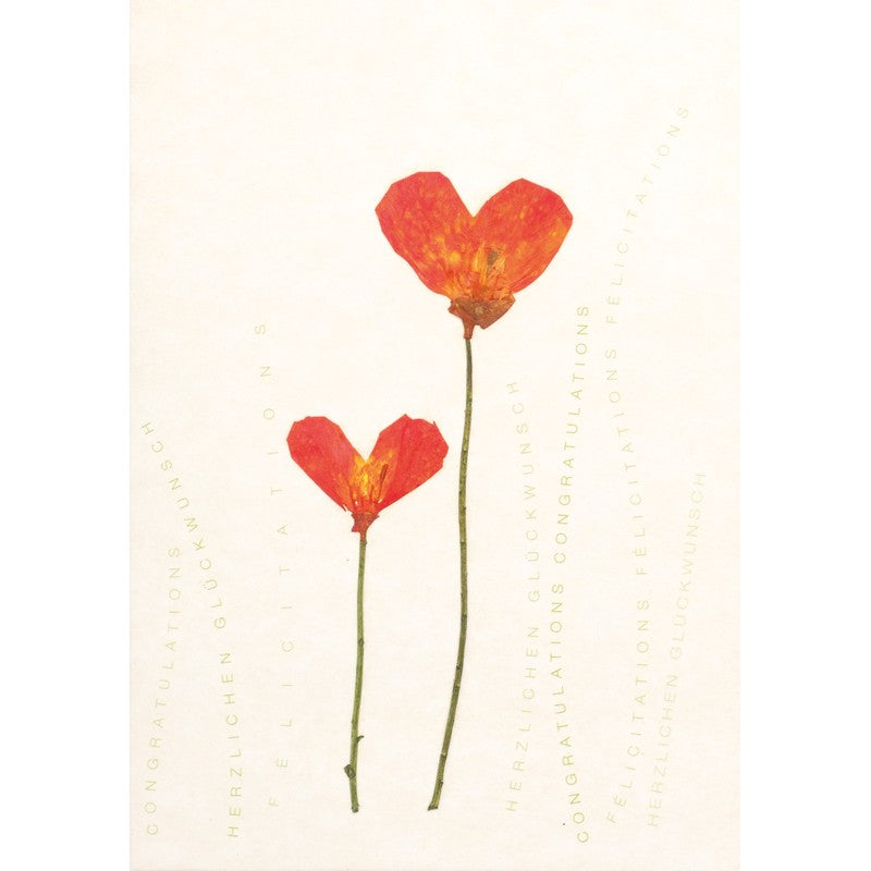 Räder - Biglietto di auguri - Congratulazioni - Fiori essiccati con stelo Papavero