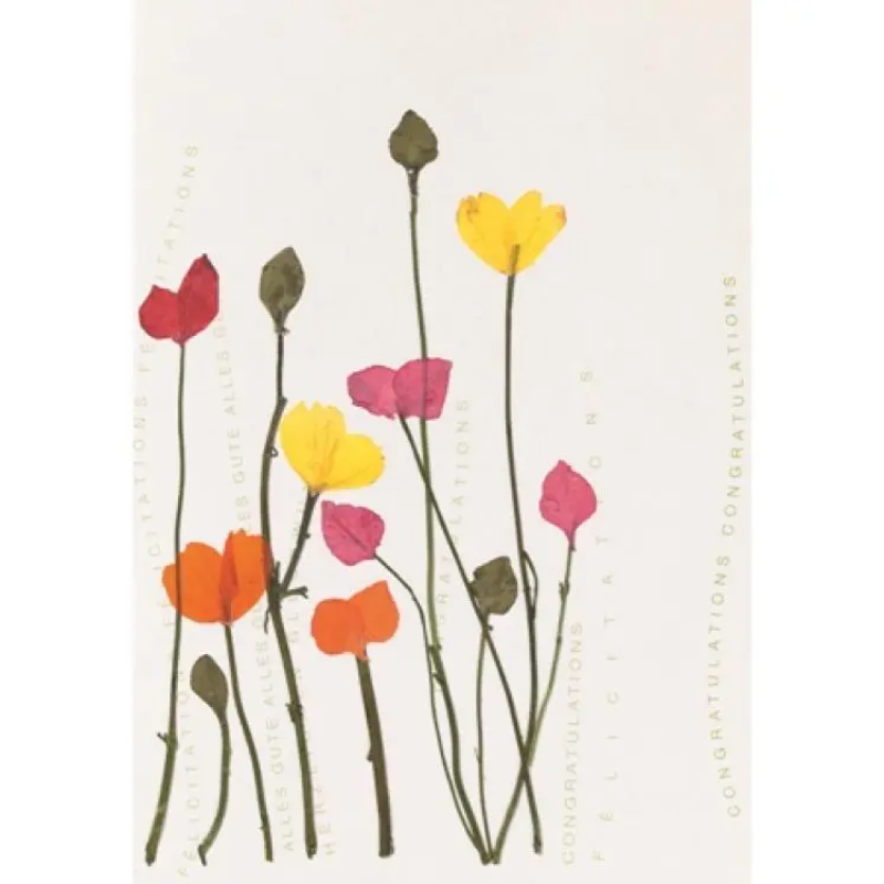 Räder - Biglietto di auguri - Congratulazioni - Fiori essiccati con stelo Colori caldi