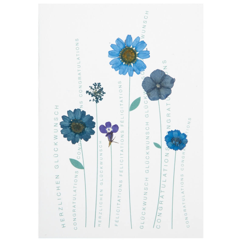 Räder - Biglietto di auguri - Congratulazioni - Fiori essiccati con stelo Blu
