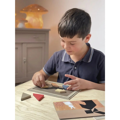 Egmont Toys - Tangram magnetico