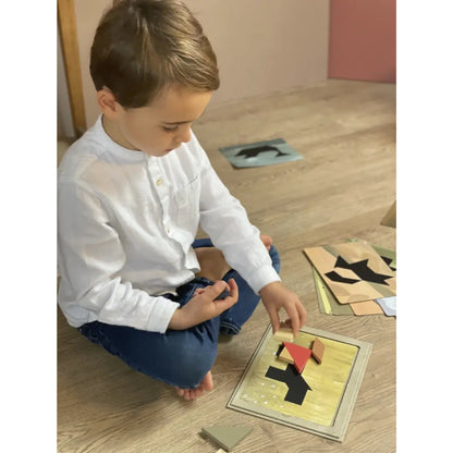 Egmont Toys - Tangram magnetico