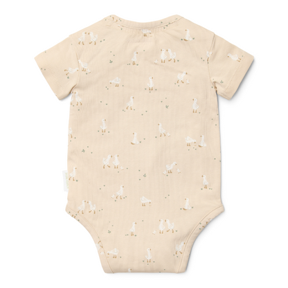 Little Dutch - Body a maniche corte - Goose