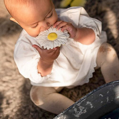Oli&Carol - Massaggiagengive - Margarita the Daisy - Margherita