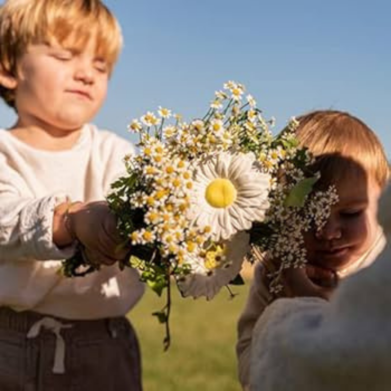 Oli&Carol - Massaggiagengive - Margarita the Daisy - Margherita