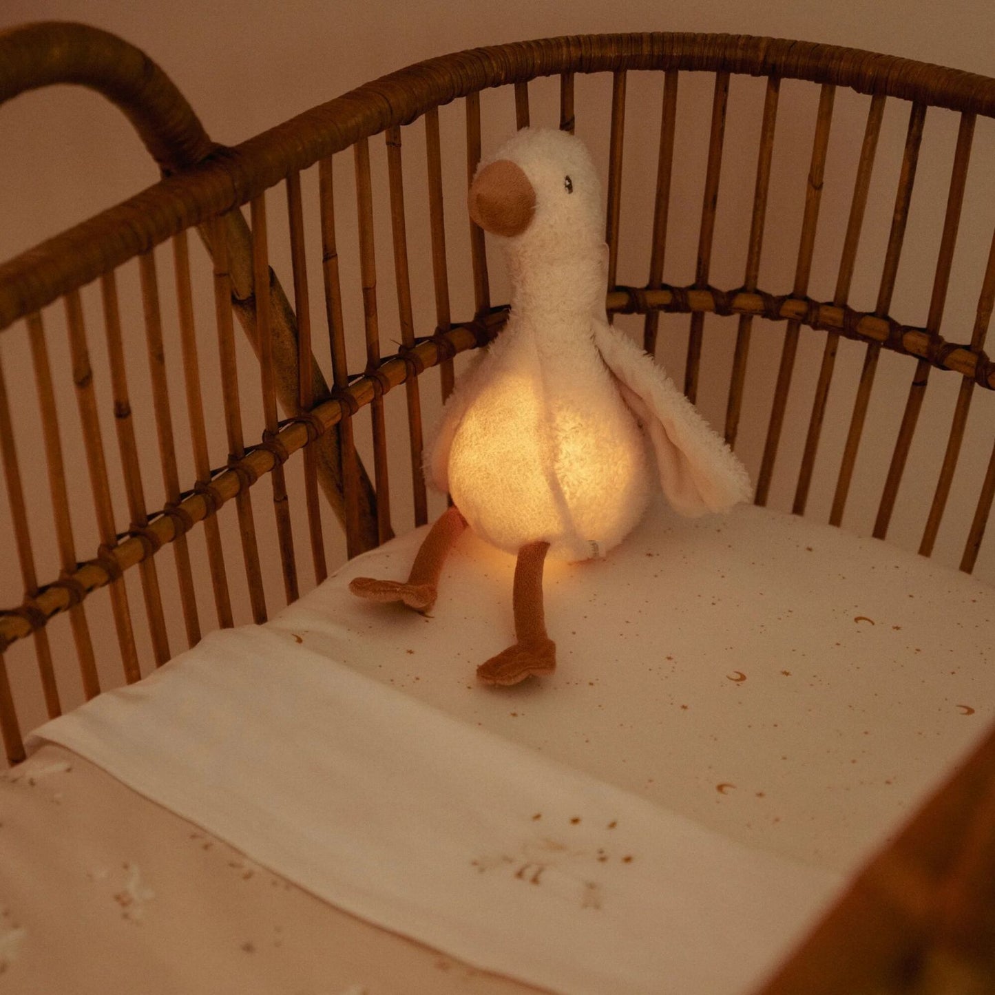 Little Dutch - Peluche Luce Notturna con Suoni Baby Goose - Little Goose