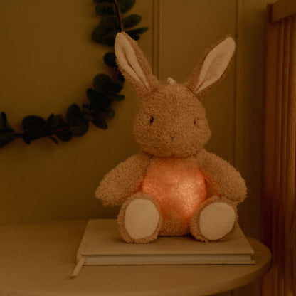 Little Dutch - Peluche Luce Notturna con Suoni Baby Bunny - Little Goose