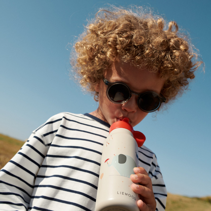 Liewood Falk Borraccia Termica Acciaio Circo 350ml | Bambini