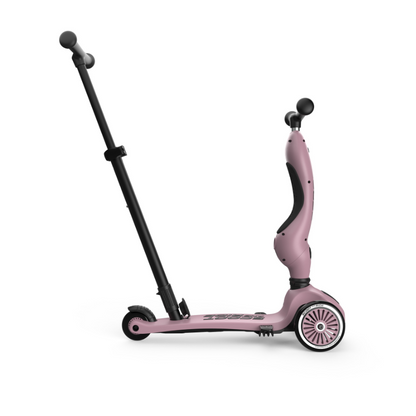 Scoot and Ride - Monopattino e Triciclo - Highwaykick push and go - Trasformabile 2 in 1 - Wildberry