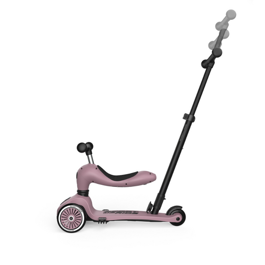 Scoot and Ride - Monopattino e Triciclo - Highwaykick push and go - Trasformabile 2 in 1 - Wildberry